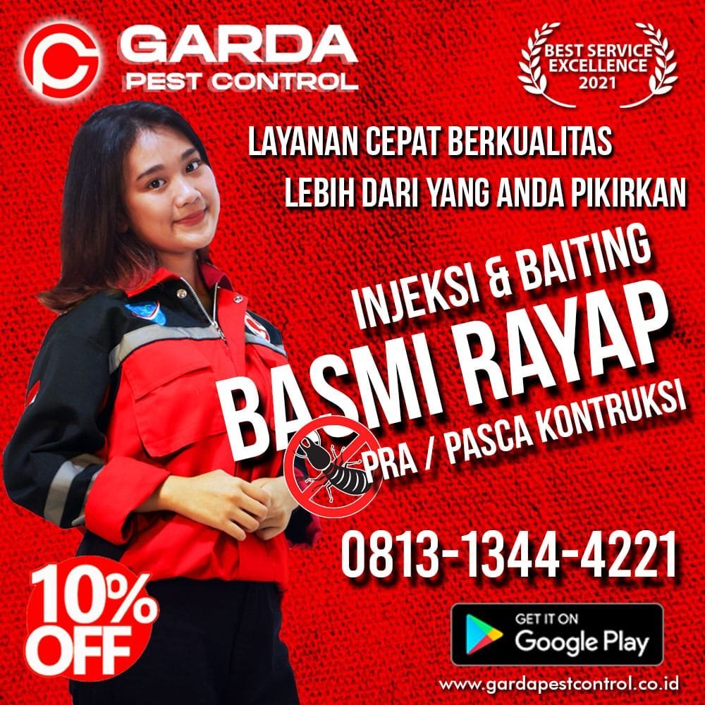 Jasa Pembasmi Rayap di Semarang