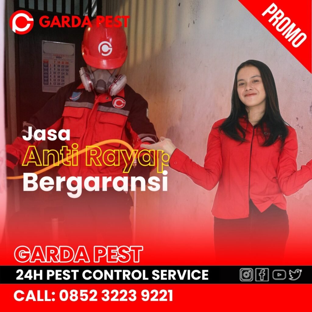 Jasa Anti Rayap di Bekasi