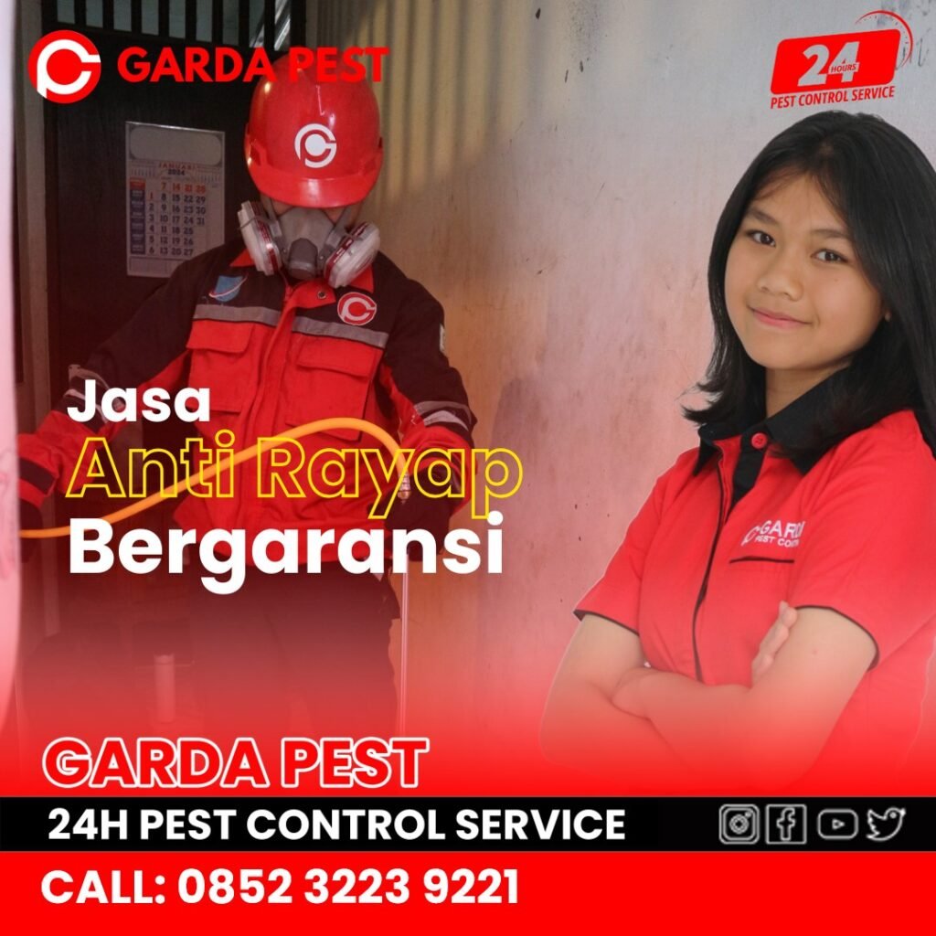 Jasa Anti Rayap di Banyumanik Semarang Cepat dan Bergaransi