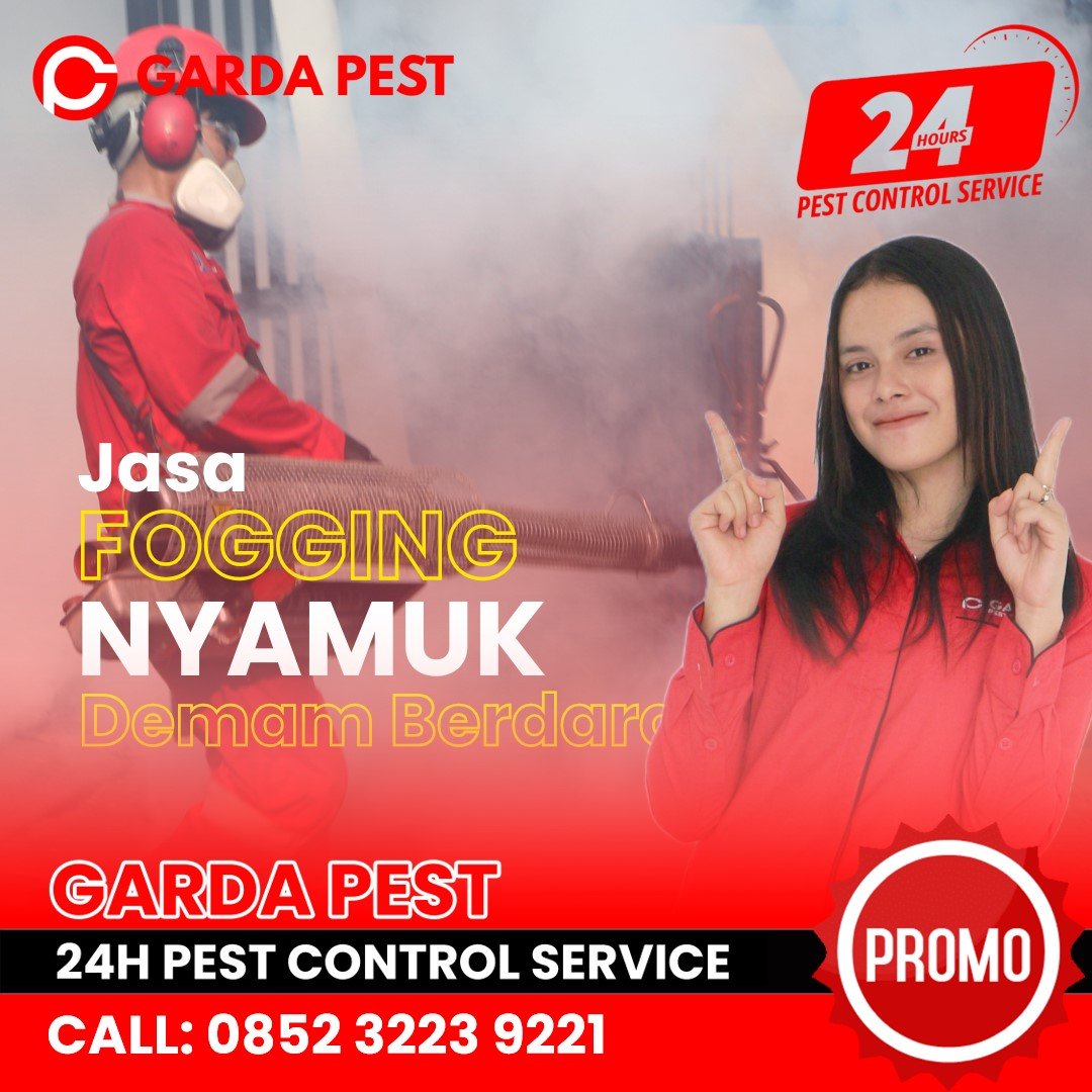 Jasa Fogging Nyamuk di Pedurungan Semarang Jasa Fogging Nyamuk di Pedurungan Semarang