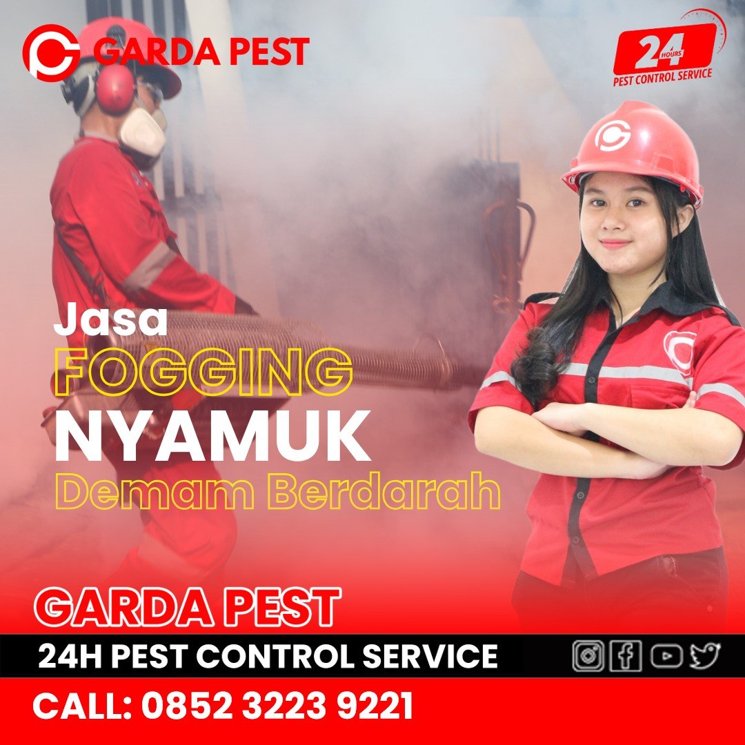 Jasa Fogging Nyamuk di Semarang Utara Harga Mulai 25K/Rumah