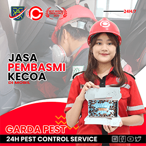 Jasa Pembasmi Kecoa Cikarang Murah Dan Ampuh