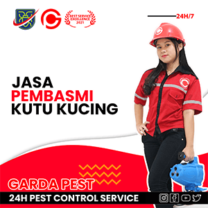 Jasa Basmi Kutu Kucing Terbaik di Indonesia