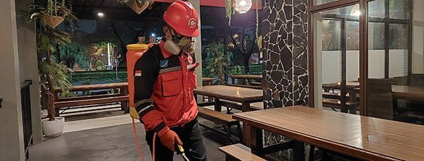 Pest Control di Surabaya Pusat Pembasmi Hama Urban Terbaik