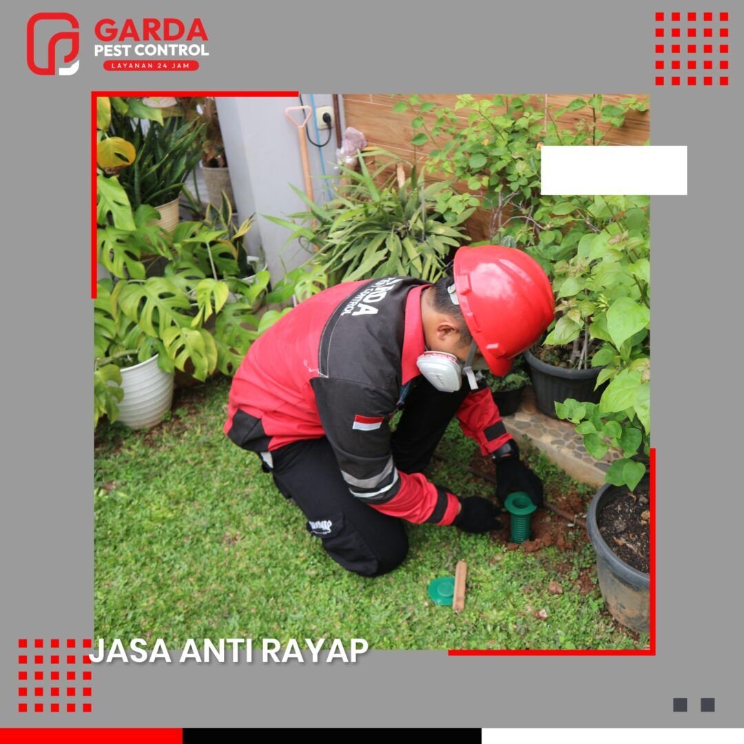 ย Jasa Anti Rayap Jogja Sistem Injeksi Garansi