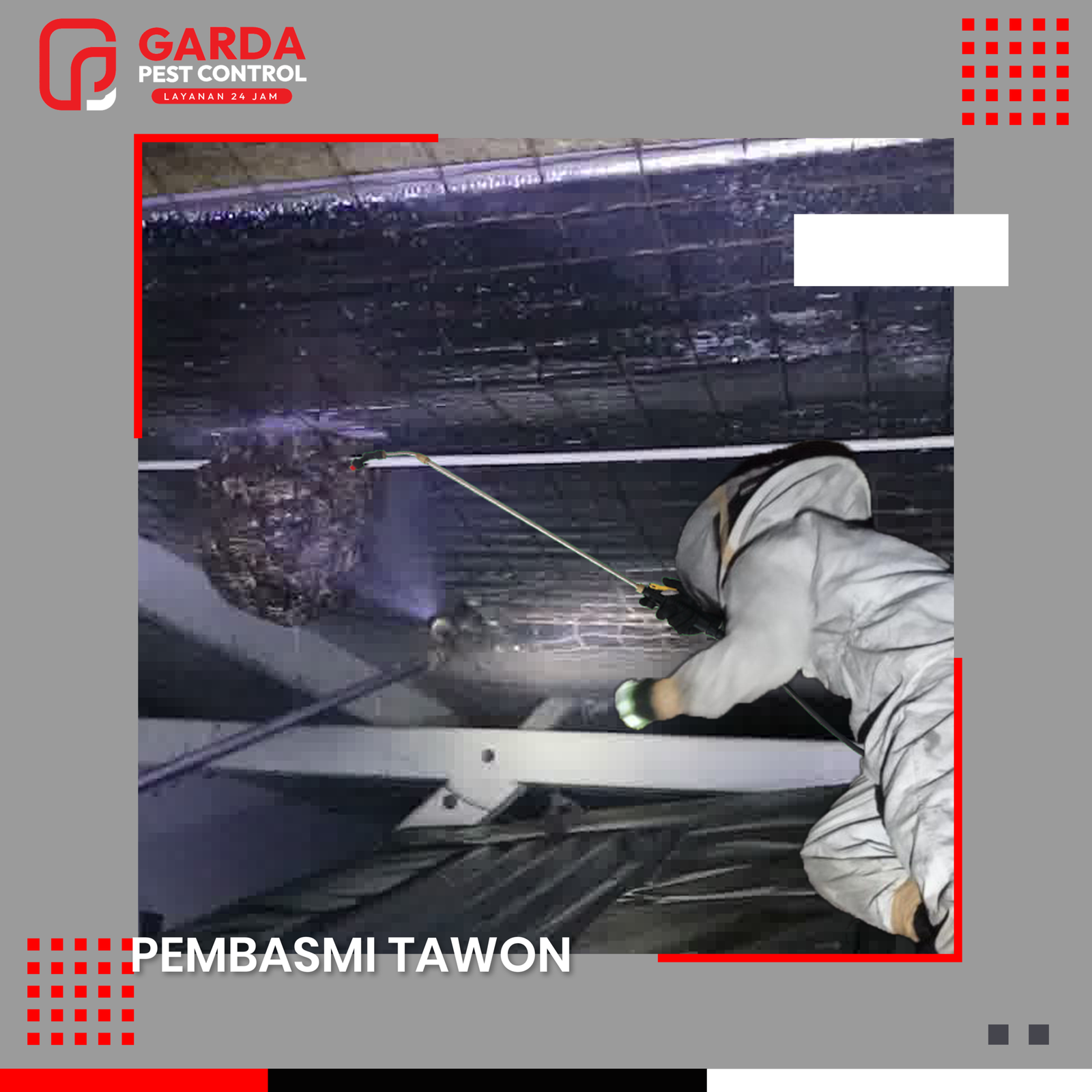 Jasa Pembasmi Tawon di Malang Aman dan Cepat