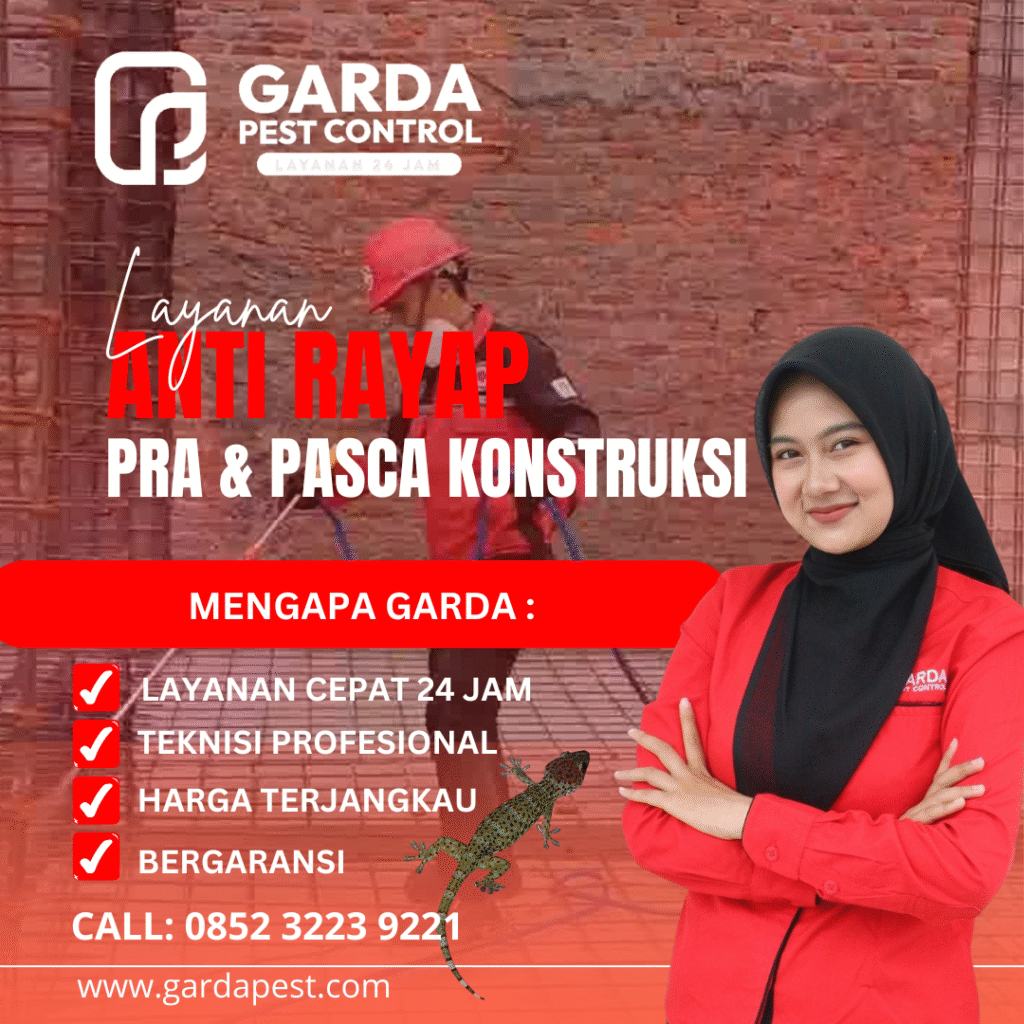 Lemari Diserang Rayap? Jangan Panik! Ini Cara Membasmi Rayap di Lemari Sampai Tuntas