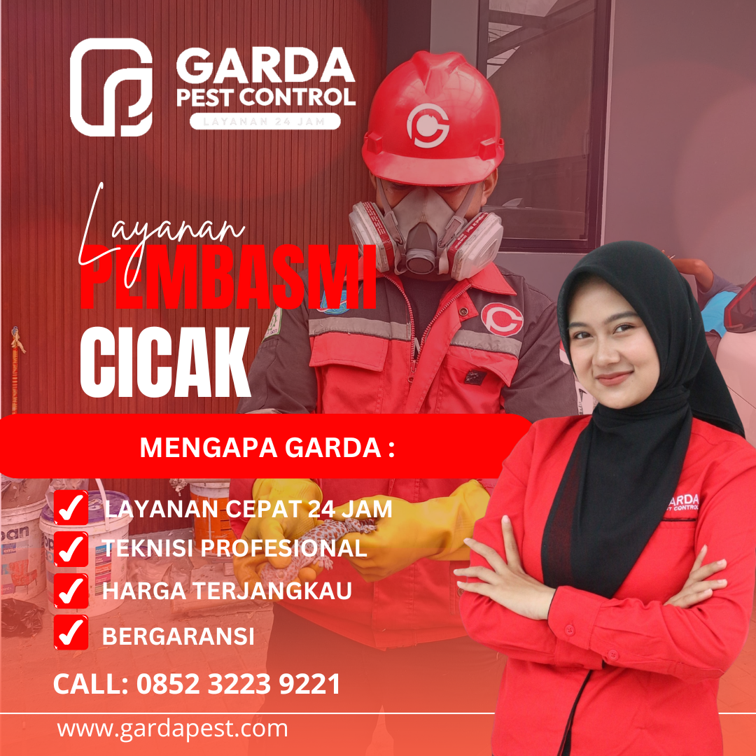 Jasa Pembasmi Cicak di Solo: Solusi Praktis Rumah Bersih dari Gangguan Kotoran Hama