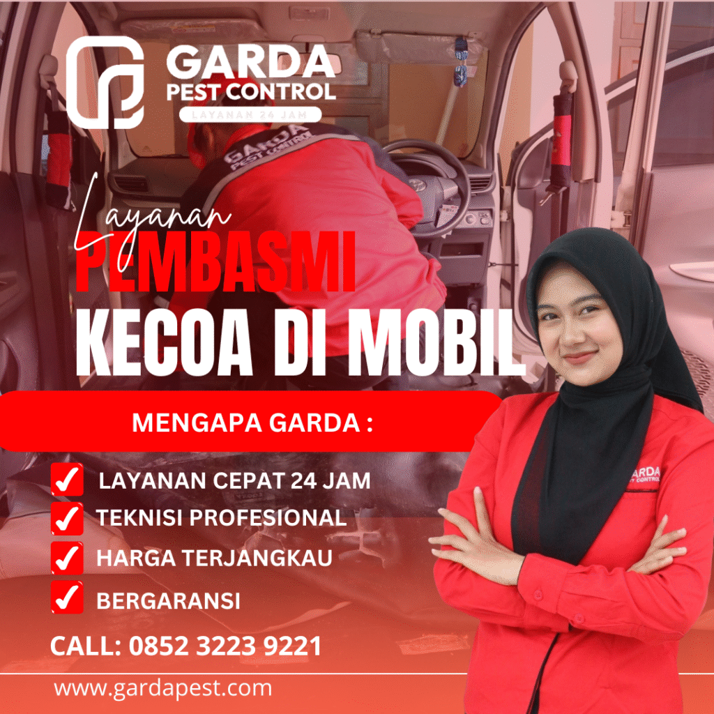 Jasa Pembasmi Kecoa Mobil Area Jogja Kota