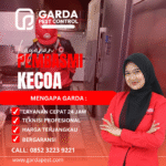 Jasa Pembasmi Kecoa di Sidoarjo