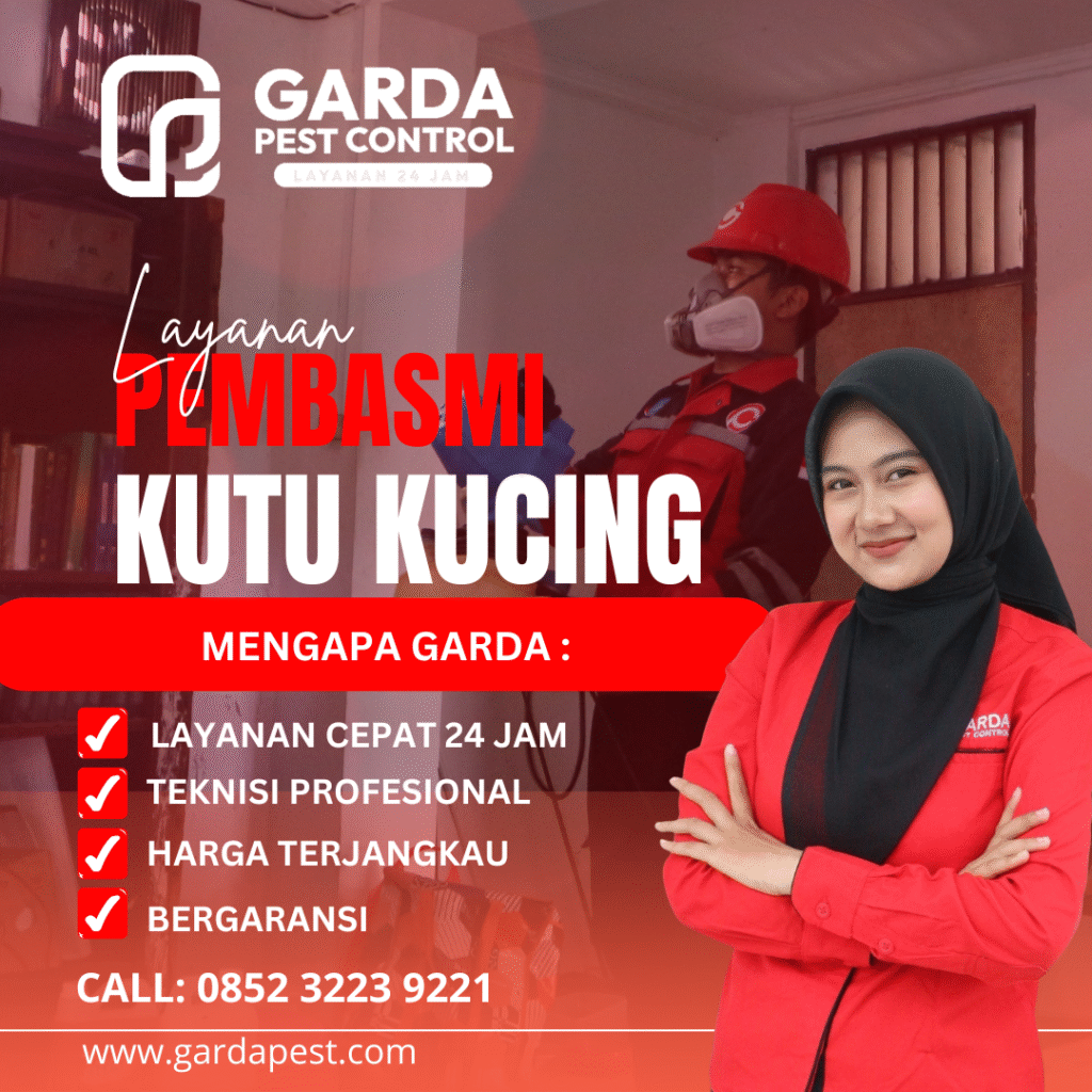 Jasa Pembasmi Kutu Kucing di Jogja Berkualitas Premium