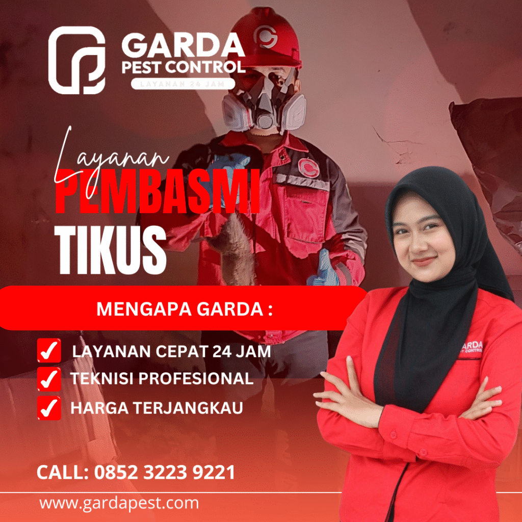 Jasa Pengusir Tikus di Tangsel Basmi Hingga Tuntas