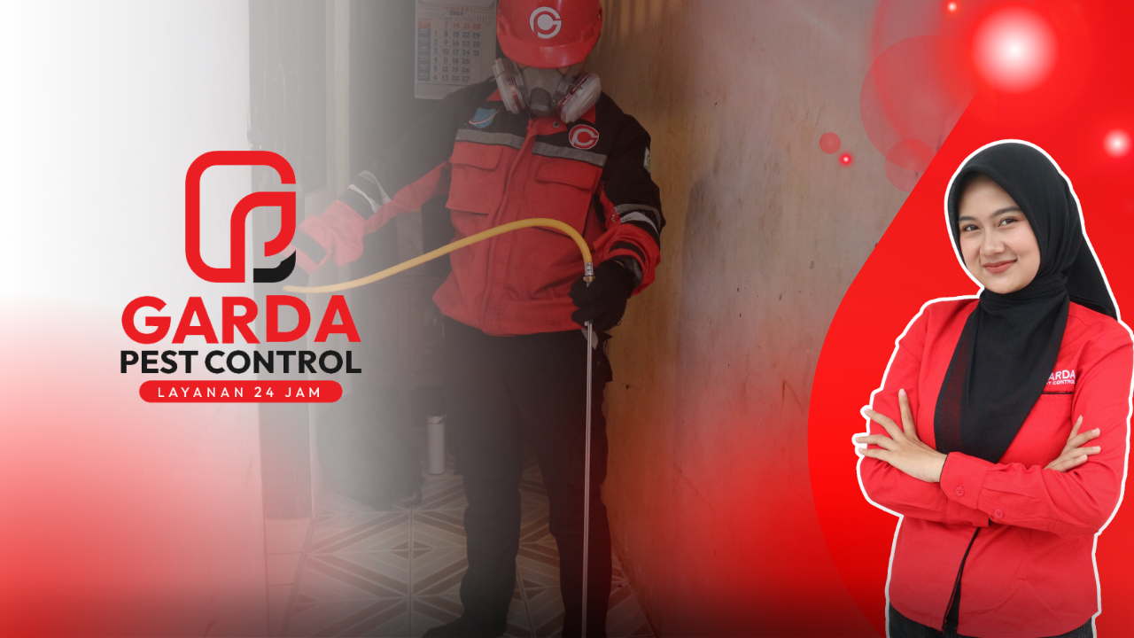 Jasa Anti Rayap di Jakarta Selatan Promo Terbatas Pest Control Pembasmi Rayap Pasca Konstruksi