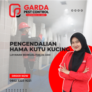 Ahli Kutu Kucing Terdekat di Kota Anda