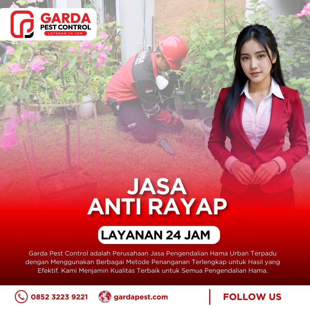 Jasa Anti Rayap Pasuruan Murah & Profesional - Survey Gratis