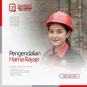Jasa Anti Rayap di Malang dan Sekitarnya