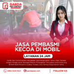 Jasa Pembasmi Kecoa di Mobil Jogja: Garansi 1-3 Bulan