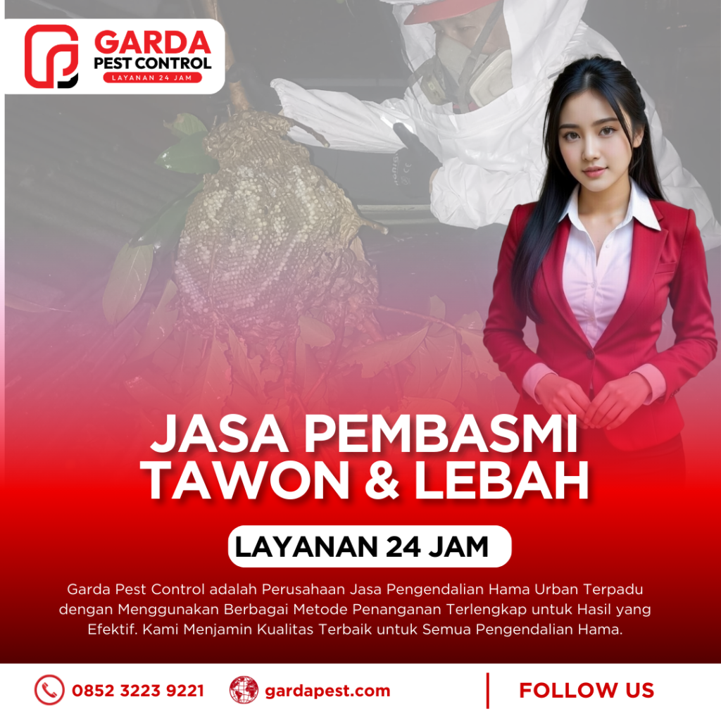 Jasa Pembasmi Sarang Tawon Sidoarjo - Evakuasi Cepat & Aman