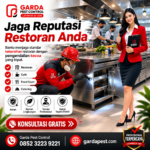 Jasa Pembasmi Kecoa Profesional di Jogja