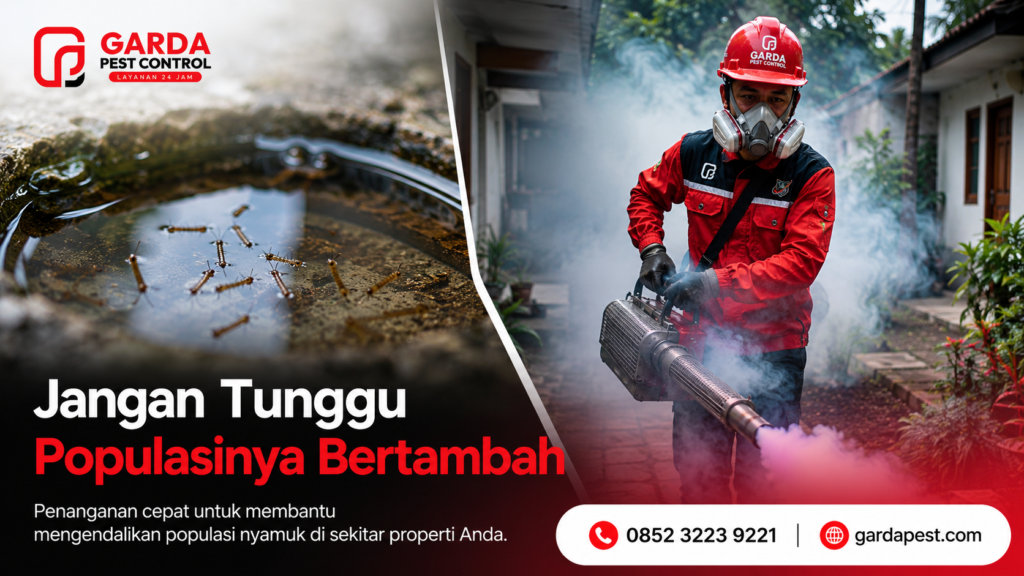 Jasa Fogging Nyamuk di Lombok Tengah Bisa Panggilan 24 Jam