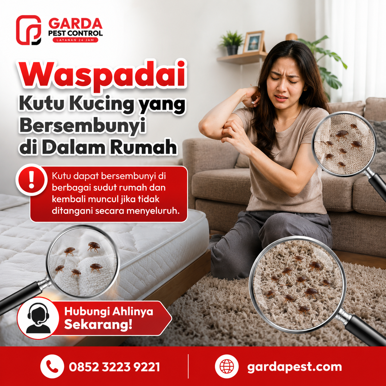 Harga Jasa Pembasmi Kutu Kucing Solo: Solusi Terbaik dari Garda Pest Control