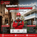 Pembasmi Rayap Terbaik di Bandung