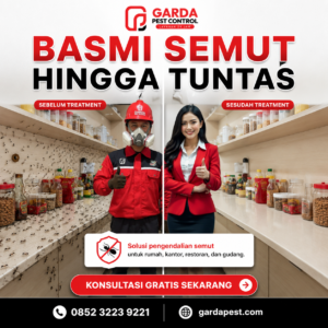 Jasa Pembasmi Semut Terbaik di Solo: Garda Pest Control untuk Lingkungan Bersih dan Aman