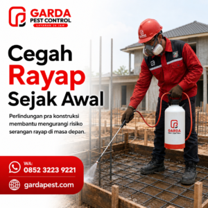 Jasa Anti Rayap Profesional di Jogja