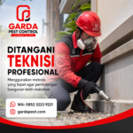 Obat Anti Rayap Jogja Terbaik