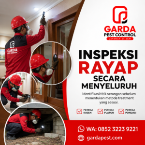 Pembasmi Rayap Jogja Terpercaya