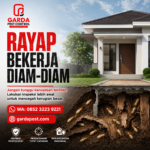 Jasa Anti Rayap Bogor Utara: Solusi Perlindungan Properti dari Ancaman Rayap