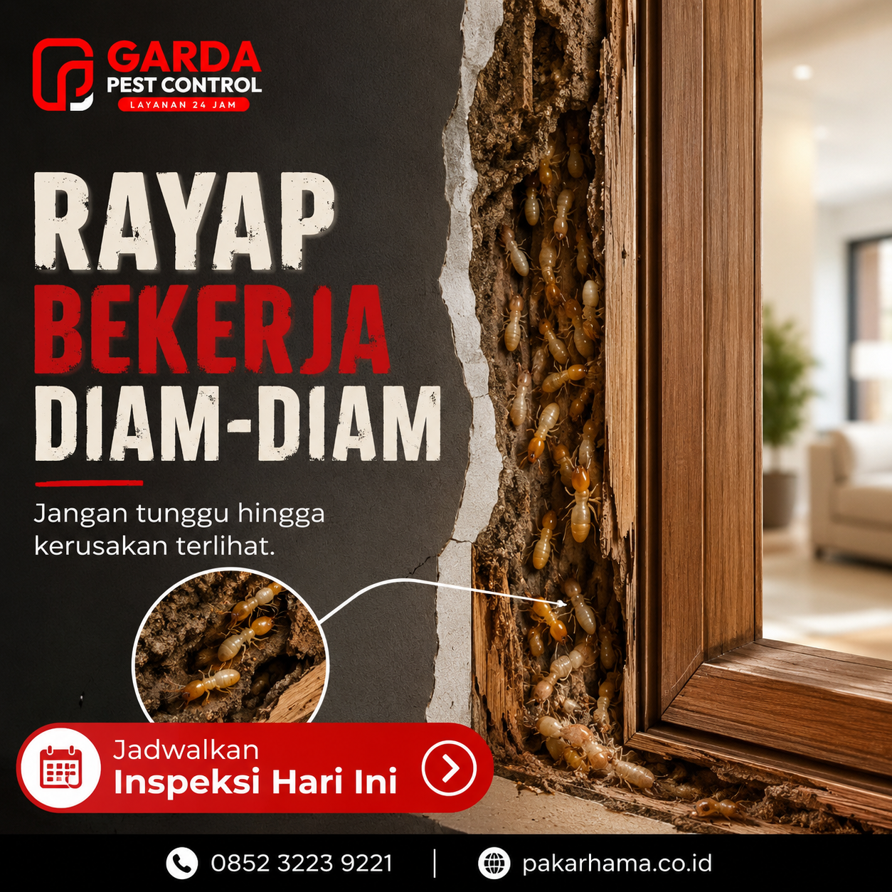 harga jasa anti rayap Jakarta: Tarif Terjangkau, Bebas Hama Selamanya!