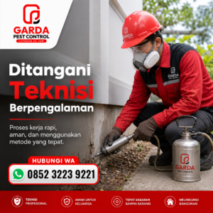 Perusahaan Anti Rayap Jogja