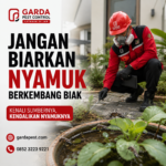 Layanan Fogging Nyamuk Penanganan Cepat Kasus DBD Jogja untuk Rumah dan Area Publik